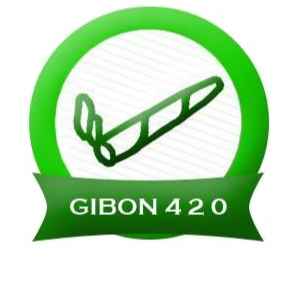 Gibon 4 2 0